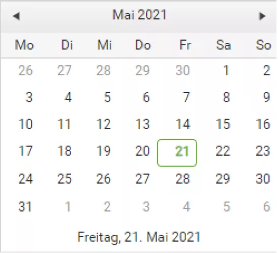 Auswahlfeld Kalender